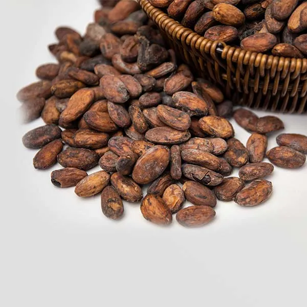 raw-cocoa-beans