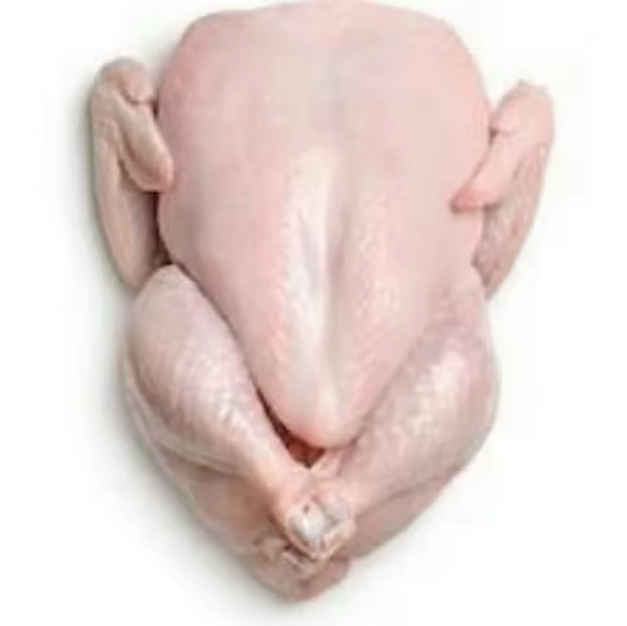 Halal Frozen Chicken From Africa