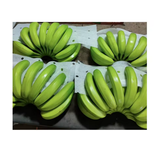 green-bananas