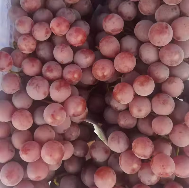 red-grapes1
