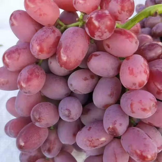 red-grapes3