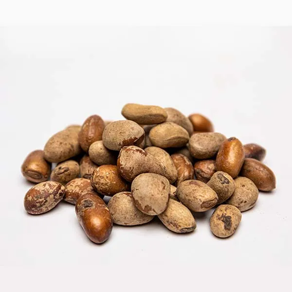 Whole Organic Pebè Walnuts (Calabash Nutmeg / Gabon Nutmeg – Monodora myristica)