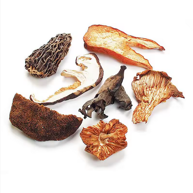 Premium Mushrooms from Africa– Shiitake, Oyster, Morels, and More