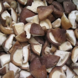 shiitake-4