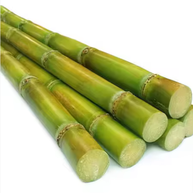 Frozen Green Sugarcane and White Sugarcane for sale